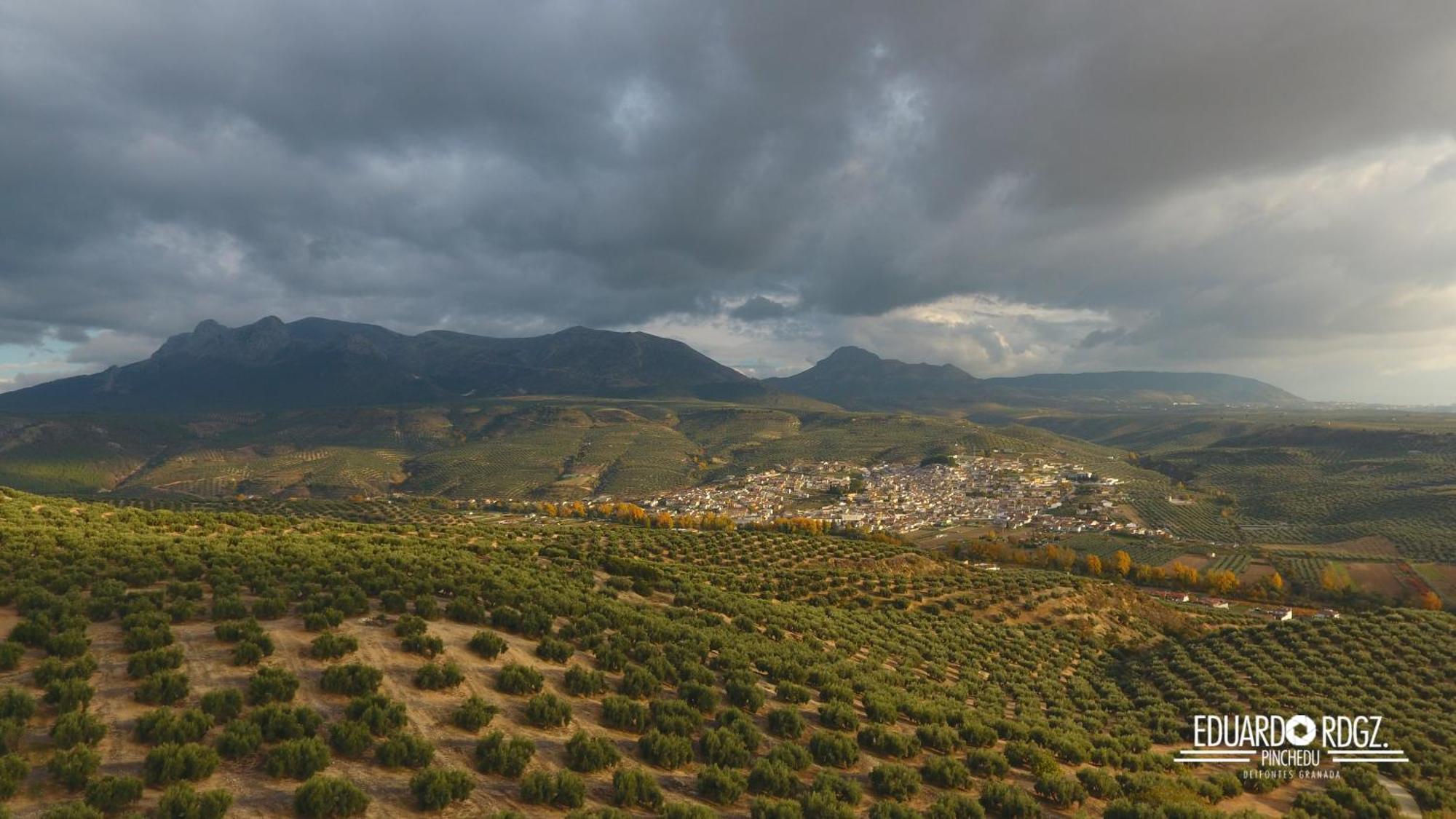 Alojamiento Rural Caserio De La Fuente Deifontes ภายนอก รูปภาพ